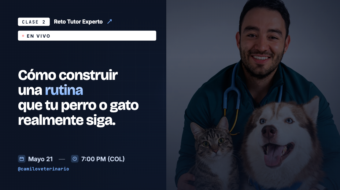 Clase 2: Cómo construir una rutina