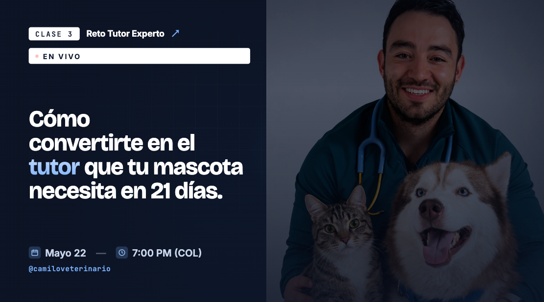 Clase 3: Cómo convertirte en tutor experto